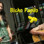 new_BichoPapao
